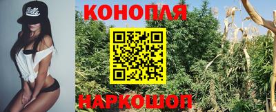 a pvp Малгобек