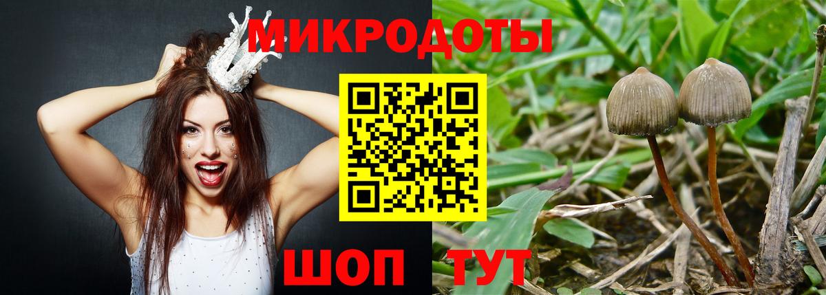 A-PVP Чехов