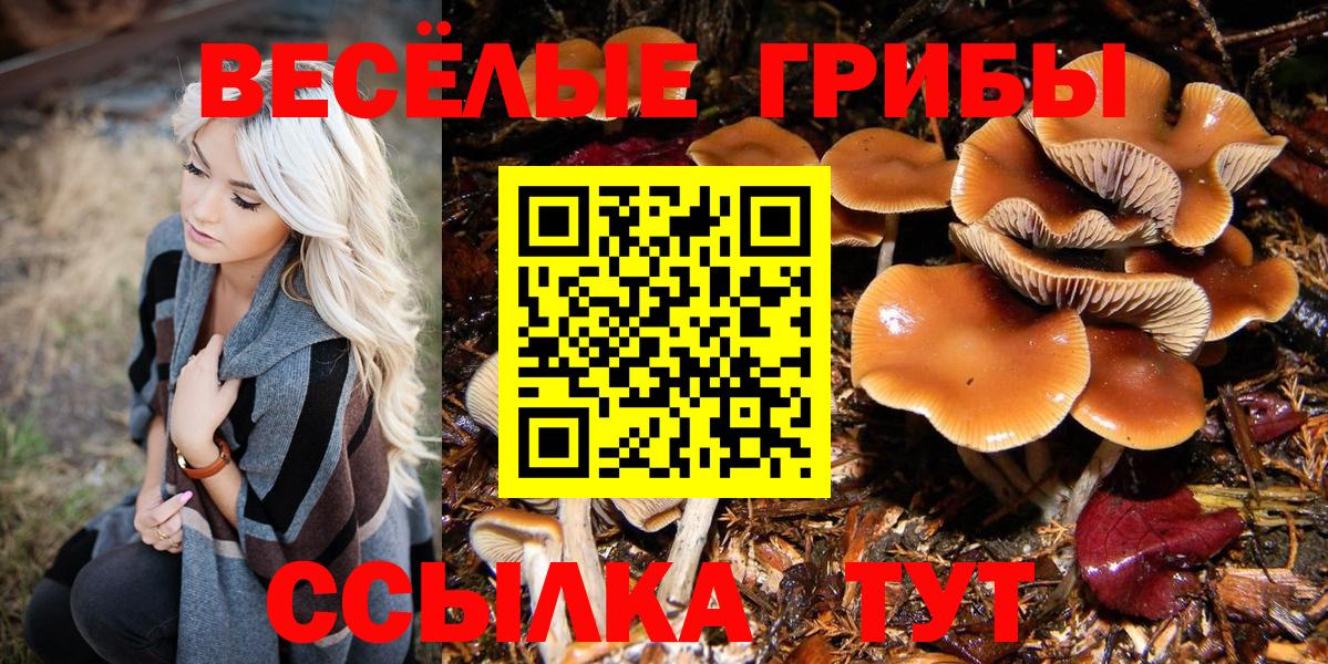 Галлюциногенные грибы Magic Shrooms  Вход с VPN  Чехов 